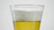 Close-up of beer in clear glass on white background. Action. Beer in glass with disappearing foam on isolated background