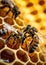 Close up of bees working on honeycomb, natural macro background