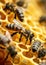 Close up of bees working on honeycomb, natural macro background