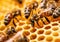 Close up of bees working on honeycomb, natural macro background