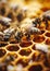 Close up of bees working on honeycomb, natural macro background