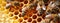 Close up of bees working on honeycomb, natural macro background