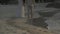 Close up below of the body, Bride and Groom are holding and walking on the beach beside the sea and wave in the Twilight time