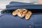 Close-up of a Bengal cat hiding in a suitcase
