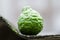 Close up of bergamot fruit