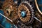 close-up of bicycle gears and chain