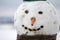 Close-up of big funny primitive smiling snowman head with carrot