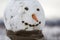 Close-up of big funny primitive smiling snowman head with carrot nose, black stone eyes and teeth in child scarf on light blurred