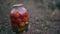 Close up of big glass jar with pickled vegetables on ground in vegetable garden. Close up of man\'s hand taking sealed