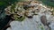 Close-up of a big old, mossy mushroom growing on the dirty floor