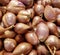 Close up of big pile of fresh shallot onions