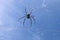 Close up of big spider on spider net on Bali island. Against the background of an azure blue sky lit by sun rays. Large colorful