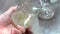 Close up of biologist`s hand holding glass jar with plant sprouts