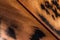 A close-up of a bird feather pheasant