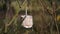 Close-up of bird feeder made of different types of grains hung on tree,made by hand at home.Protection of wild birds in nature in