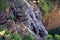 Close up bird view waterfall on rock cliff mountain