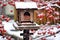 close-up of birdseed in a snowy wooden feeder