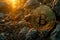 Close-Up Bitcoin: Exploring Digital Currency