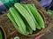 Close up of Bitter gourd in a basket