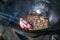 Close-up, in a black cast-iron cauldron, vegetable oil boils on fire and raw pieces of pork ribs are put into it with tongs. Food