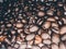 Close up of Black coffee beans with a natural bitter taste, with blurry background