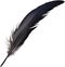 Close-up of black crow-inspired feathers.