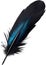 Close-up of black crow-inspired feathers.