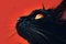 Close up of a black Felidae with red iris and whiskers