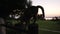 Close-up black grey cat sitting on wooden fencing and stretching in twilight outdoors. Happy lazy calm domestic animal