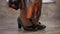 Close-up black leather high-heels with feet of travesty woman putting on shoes walking away. Unrecognizable Caucasian