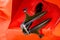 Close-up of black metal anchor of merchant ship on red background
