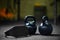 Close-up of black steel kettlebells used to perform ballistic exercises, gray athletic belt on a dark blurred background