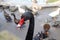 Close-up of a black swan. Ducks and swans live together in the bird pen. Contact zoo for children. Feeding the feathered ones