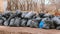 Close-up of black trash bags piled up In the city against house.