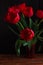 Close up of blooming amazing red spring tulips. Dark moody low key flowers photo banner. Greeting card minimalism style