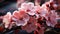 Close-up of blooming Japanese cherry blossom. Beautiful blossoming buds of red flowers on a branch. Beautiful illustration of