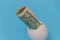 Close up on a blue background, dollar bill in eggshell