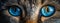 Close-up of blue cat eyes banner idea AI generated for international cat day