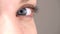 Close-up of the blue eye of a young girl. Stares at the camera and squints