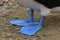 A close up of the blue feet of a blue-footed booby, Sula nebouxii