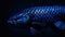 A close up of a blue fish with black background, AI