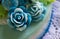 Close up blue rose jelly cake , cake homemade for mother day , celebrate cake for mom ,someone you love.