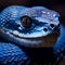 A close up of a blue snake