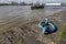 Close-up blue steel torus hook which lock and connect pier, pontoon or buoy over Rhine River