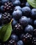 a close up of blueberries and blackberries with water droplets