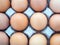 Close-up blurred top view of raw chicken eggs background