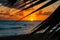 CLOSE UP: Blurry palm tree leaves stretch over the sunny evening sky and ocean.