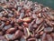 Close-up of boiled kidney beans ready to fry