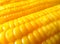 Close-up of Boiled Orange Yellow Sweet Corn