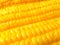 Close-up of Boiled Orange Yellow Sweet Corn, Background